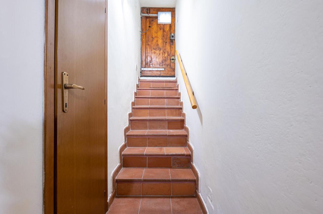 University And San Marco Cozy Apartment Firenze Bagian luar foto